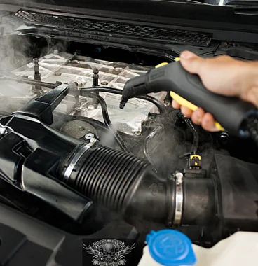  Renault, Dacia, Audi,Mercedes, BMW, Wolskvagen, Seat, Skoda, Land Rover, Fiat, Ford, Hyundai, Skoda için Motor Temizleme Revizyon